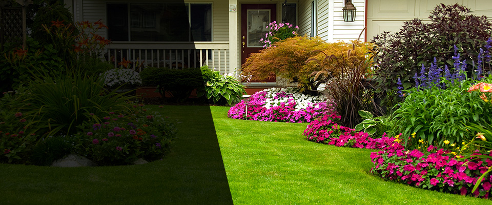 New Buffalo Landscapers