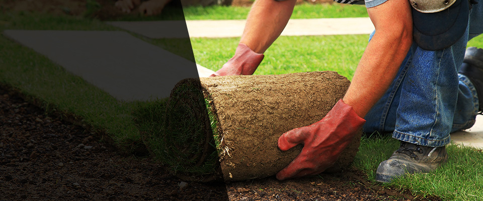 New Buffalo Landscapers